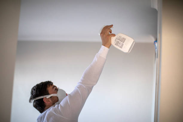 Best Mold Remediation for Schools in Robbins, IL