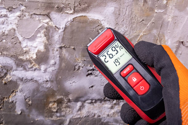 Best Bathroom Mold Remediation in Robbins, IL