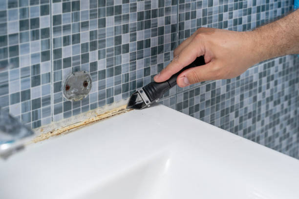 Best Basement Mold Remediation in Robbins, IL